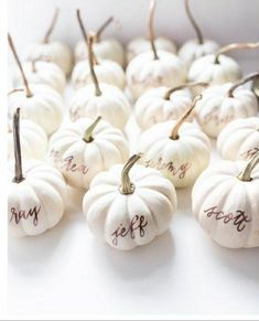 small white pumpkins with writing on them are arranged in rows and placed next to each other