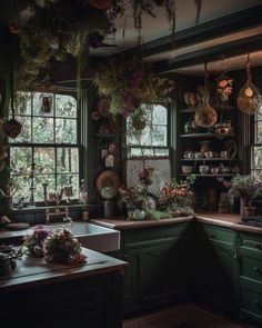 a kitchen with green cabinets and lots of plants hanging from the window sill over the sink