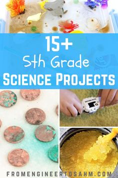 science projects for kids with text overlay that reads 15 + 5th grade science projects