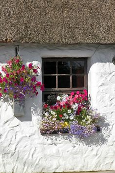 flowers are growing in the windowsills of this white stuccoed building, which is painted bright pink and purple