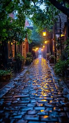 an alleyway with cobblestones and trees on both sides at night in the rain