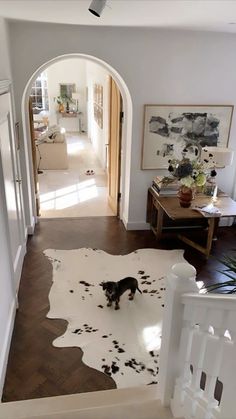 a dog is standing in the middle of a hallway