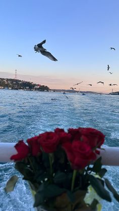 seagulls flying over the ocean with red roses