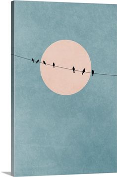 birds sitting on a wire with the sun in the background