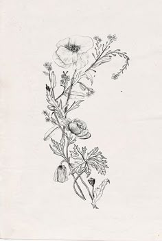 a drawing of some flowers on a white paper