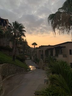 the sun is setting behind some palm trees and buildings in front of a body of water