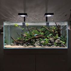 an aquarium filled with plants and rocks under two light bulbs on the side of a wall