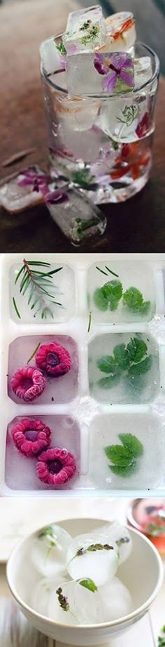 two pictures with flowers and leaves in them, one is filled with water and the other has ice