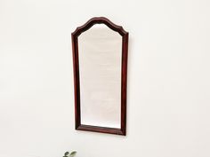 a mirror hanging on the wall next to a potted plant