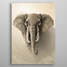 an elephant's head is shown in the middle of a wallpapered calendar