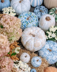 many different colored pumpkins and flowers on the ground