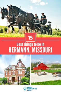 the best things to do in hernann, missouri