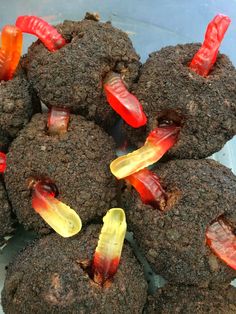 chocolate cookies with jelly worms on them and gummy bears stuck in the top one