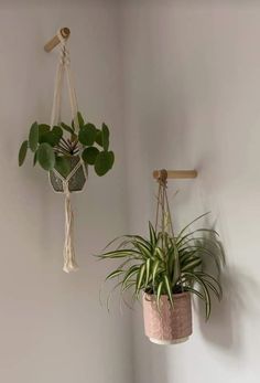 two hanging planters with plants in them on the wall next to a white wall