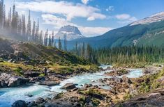 a river flowing through a lush green forest filled with lots of rocks and pine trees