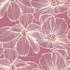 pink and white flowers on a pink background