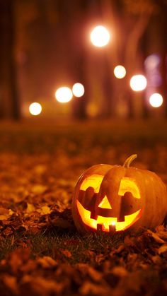 a carved pumpkin sitting on top of leaves in the middle of a park at night