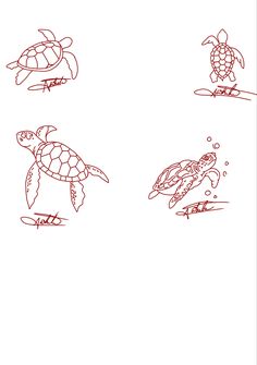 four drawings of sea turtles swimming in the ocean, one is red and the other is black