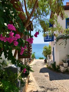 a cobblestone street with flowers on the side and water in the back ground