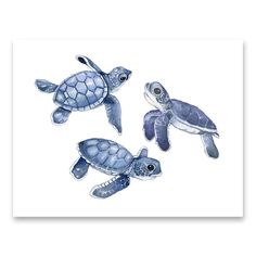 three sea turtles swimming in the ocean on a white background with blue watercolors