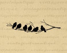 four birds sitting on a branch with the word love written in it's center