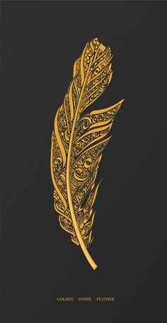 a golden feather on a black background