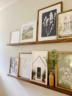 several framed pictures are on the wall above a shelf with some plants and other items