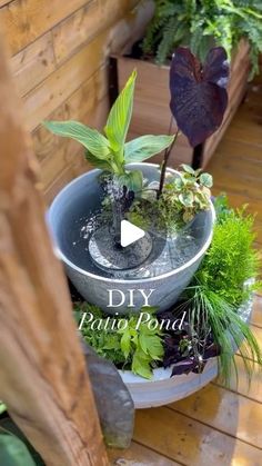 a potted plant sitting on top of a wooden table