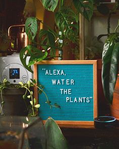 a sign that says,'alexa water the plants'next to some potted plants