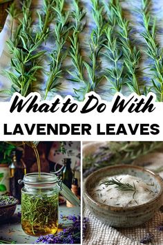 what to do with lavender leaves and how to use them in the kitchen or at home