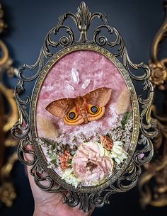 a hand holding up a small mirror with an image of a moth and flowers in it