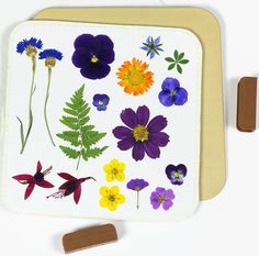 an assortment of wildflowers and plants on a white surface with wooden pegs