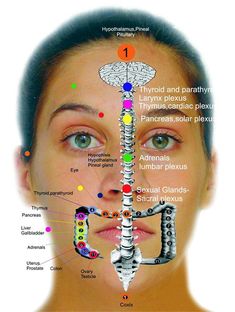 Ear Reflexology, Acupressure Therapy, Hand Reflexology, Massage Therapy Techniques, Reflexology Chart, Face Mapping, Body Map, Reflexology Massage