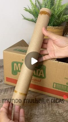 a person holding a roll of paper in front of a box with a plant on it