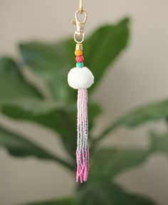 a close up of a plant with a tassel hanging from it