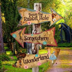 wooden signs pointing to different locations in the woods with words down the rabbit hole and somewhere wonderland written on them