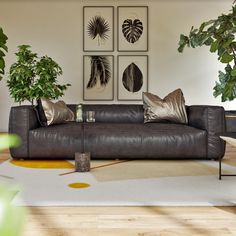 a living room filled with furniture and plants