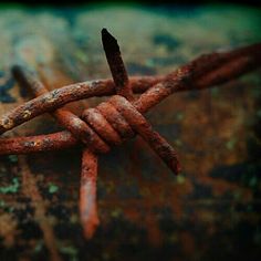 an old rusted metal fence with some nails stuck in it