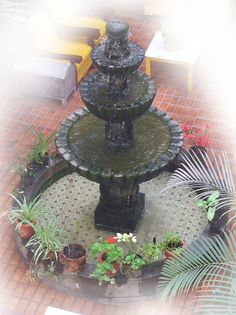 a fountain surrounded by potted plants in a courtyard