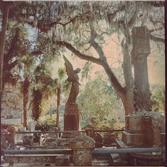 an old cemetery with statues and trees covered in spanish moss, surrounded by stone pillars