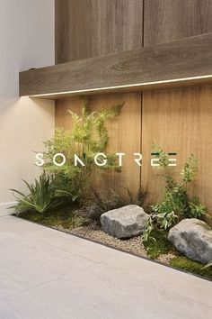 an indoor garden with rocks and plants in front of a wooden sign that says songtree