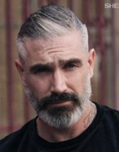 Daniel Sheehan, Grey Hair, Bearded Men, Mens Hairstyles, Grey, Hair, Fictional Characters