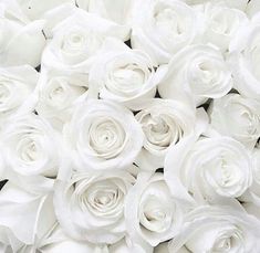 a bunch of white roses sitting on top of each other