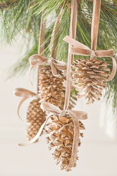 three pine cones hanging from a christmas tree with ribbons and bows on it's ends