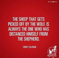 the sheep that gets picked off by the wolf is always the one who has distance himself from the shepherd