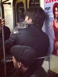 a man on a subway with a cat sitting on his shoulder and another person standing next to him