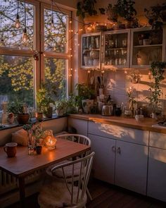 a kitchen filled with lots of plants next to a window covered in lights and potted plants