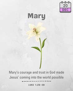 a white flower with the words mary and jesus coming into the world possible on it