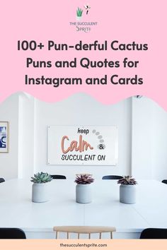 the words, 100 + fun - useful cactus puns and quotes for instagram and cards