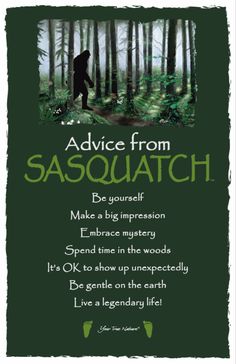 a poster with the words advice from sasquatch